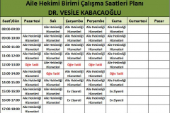Doktor Vesile Kabacaoğlu Çalışma Saatleri
